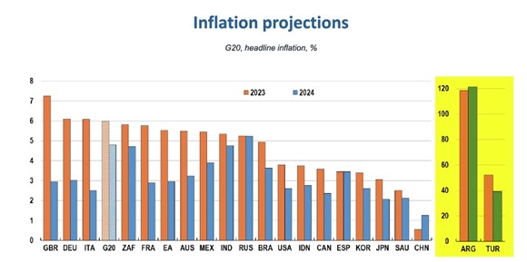 oecd'nin türkiye ve arjantin enflasyonu için ayrı tablo çizmesi